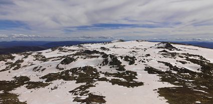 Rams Head Range - Kosciuszko National Park - NSW T (PBH4 00 10469)